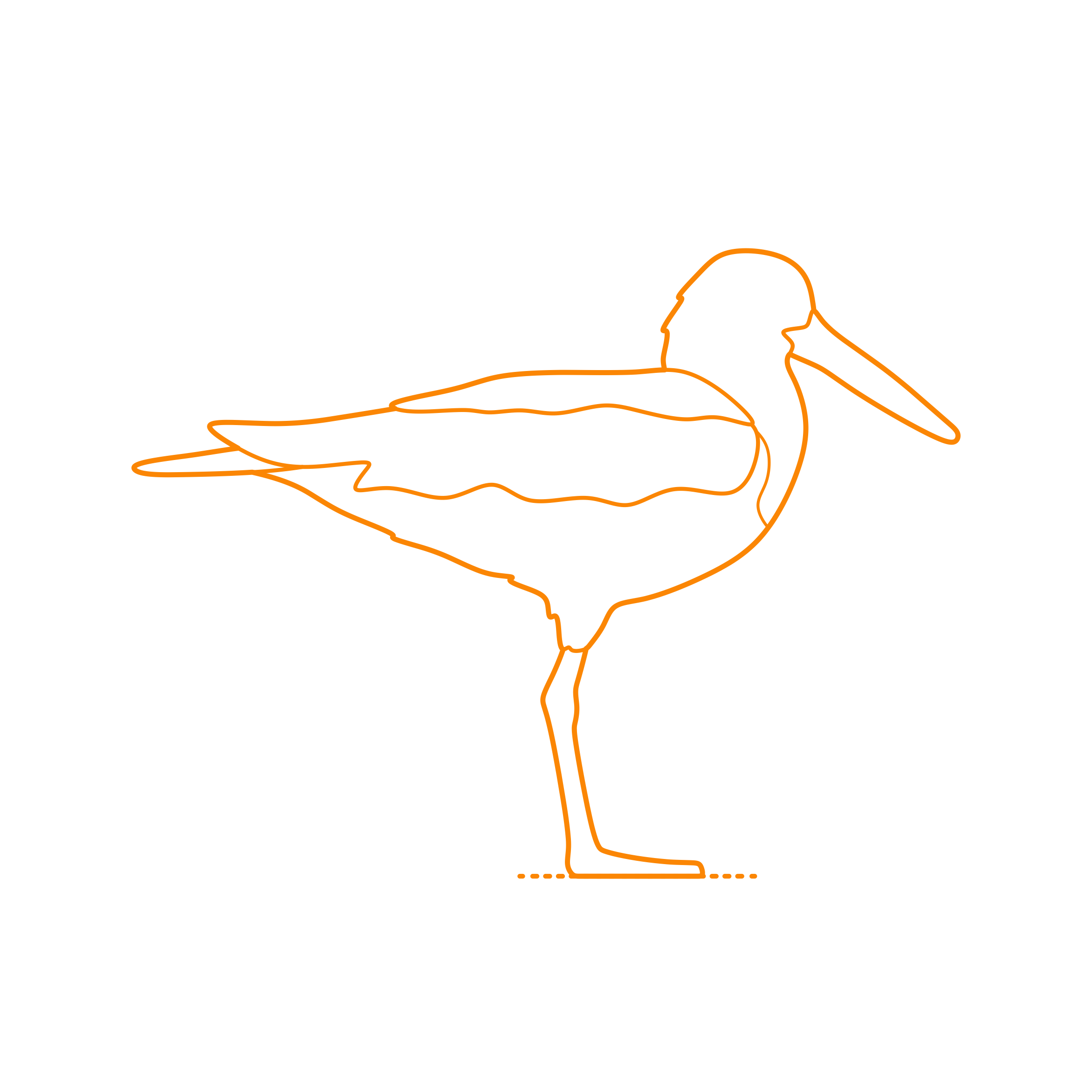 Animals Shorebirds American Oystercatcher Silhouette Cutting Svg Files Free Vectors